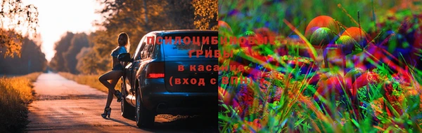 молекула духа Балабаново