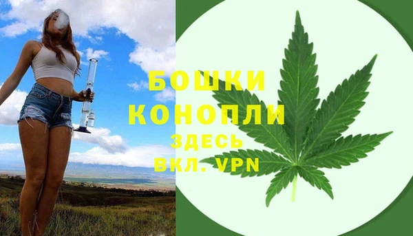 молекула духа Балабаново
