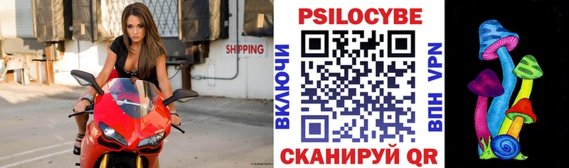 Псилоцибиновые грибы Psilocybe дарнет шоп OMG ТОР Саяногорск